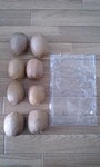 090324kiwifruit02.jpg