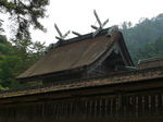 出雲大社本殿を側面から